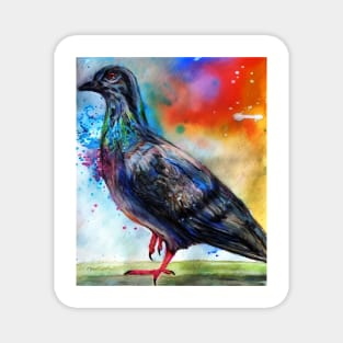 Colorful Pigeon Magnet