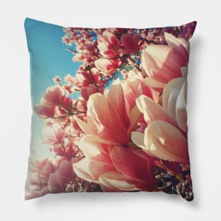 spring beams Pillow