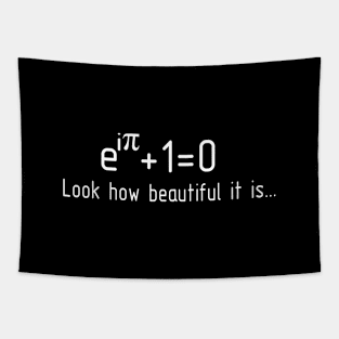 Calculation Phd Student Gift Tapestry