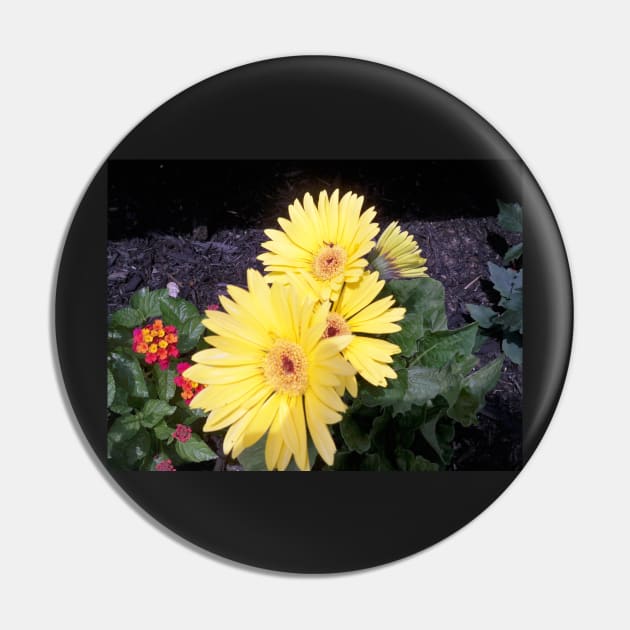 Chrysanthemum Pin by Jujucreation