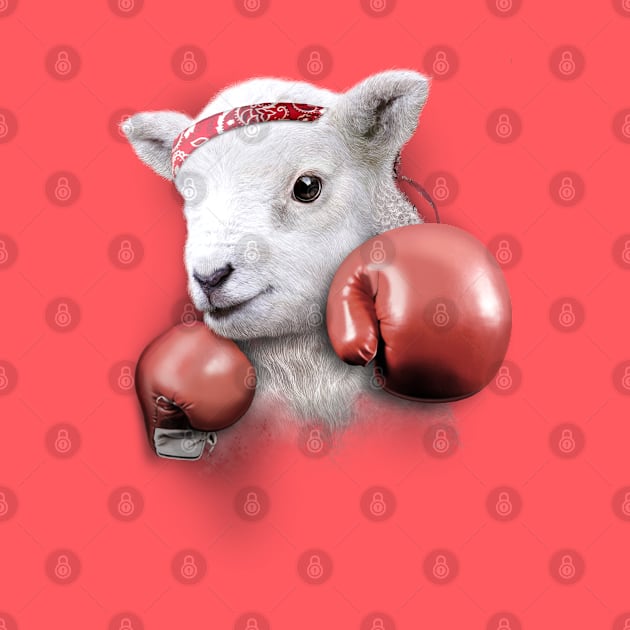 BOXING LAMB by ADAMLAWLESS