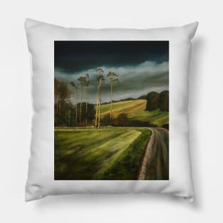 Countryside road. Pillow