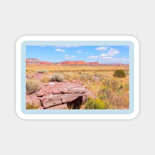 Landform of American desert. Magnet