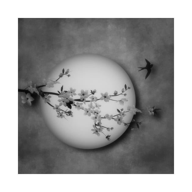 Cherry Blossom Moon In Black and White by JimDeFazioPhotography