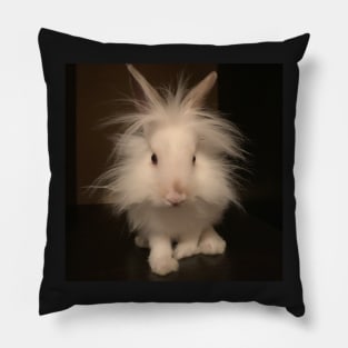 Bunny Pillow