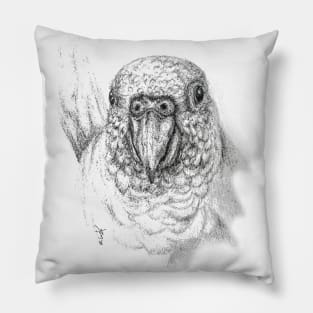 Macaw Pillow