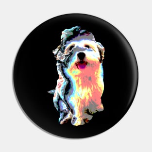 cute havanese dog puppy, bolonka for dog lovers Pin