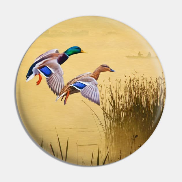 Male and Female Mallard Ducks Pin by lauradyoung