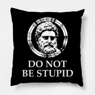 Stoicism: Do Not Be Stupid Pillow