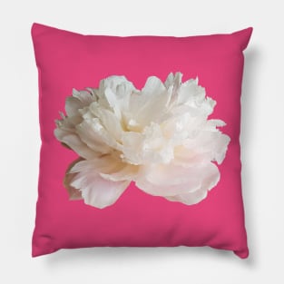 Pale Pink Peony Flower Pillow