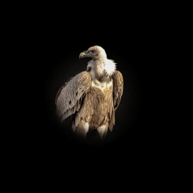 Vulture by Guardi