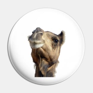 Moroccan dromedary camel Pin