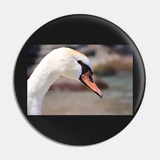 portrait of a swan Pin