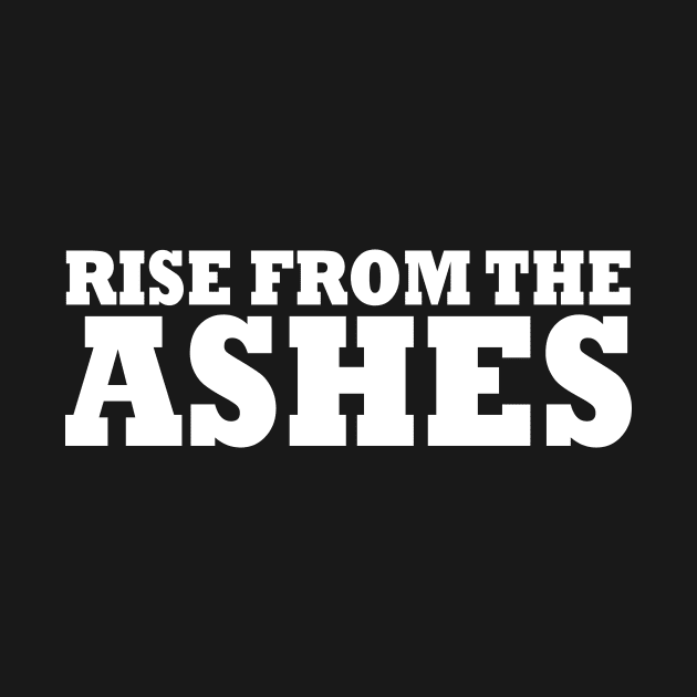 Rise from the ashes by Milaino