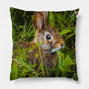 Cute Wild Bunny Hiding in the Grass Photograph Pillow