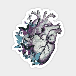 Heart in love, vintage effect watercolor blue butterflies, Heart, anatomical Human heart Magnet