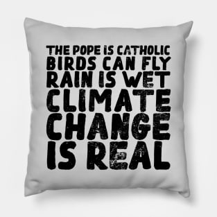 It`s rhetorical I climate change and global warming protest Pillow