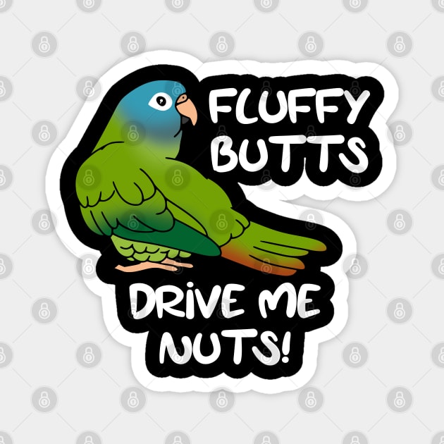 Fluffu butts drive me nuts blue crowned conure Magnet by FandomizedRose