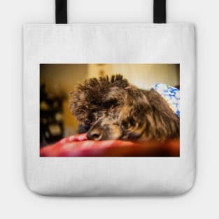 Toy poodles nane Molly 2 Tote