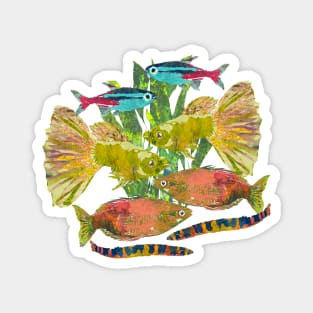 Tropical Fish Swimming Guppy Group Magnet