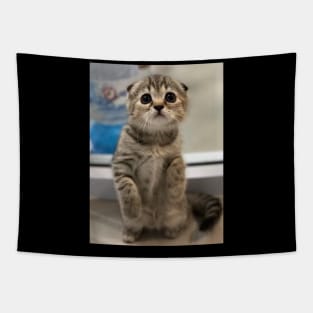 the little cute cats Tapestry