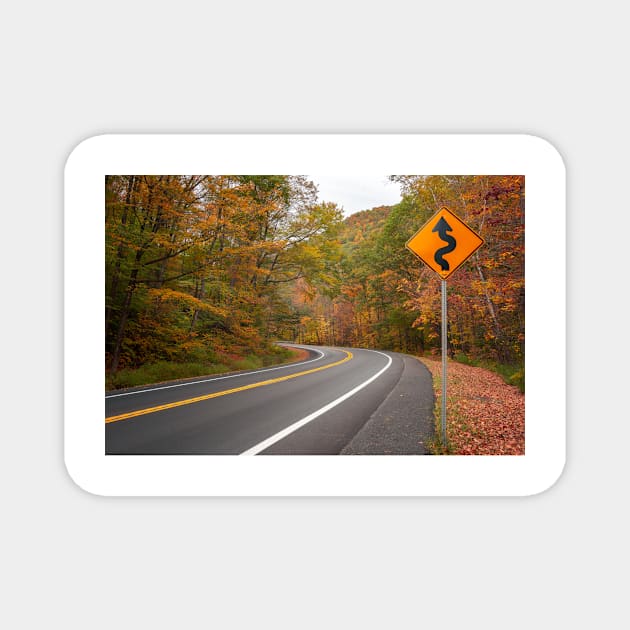 Winding Autumn Road Magnet by jswolfphoto