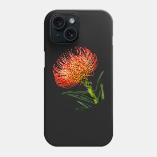 Bright Red Pincushion Protea Phone Case