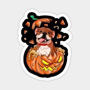 Pitbull In The Pumpkin tshirt halloween costume funny gift t-shirt Magnet