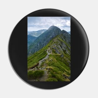 Mountaineous summer landscape Pin