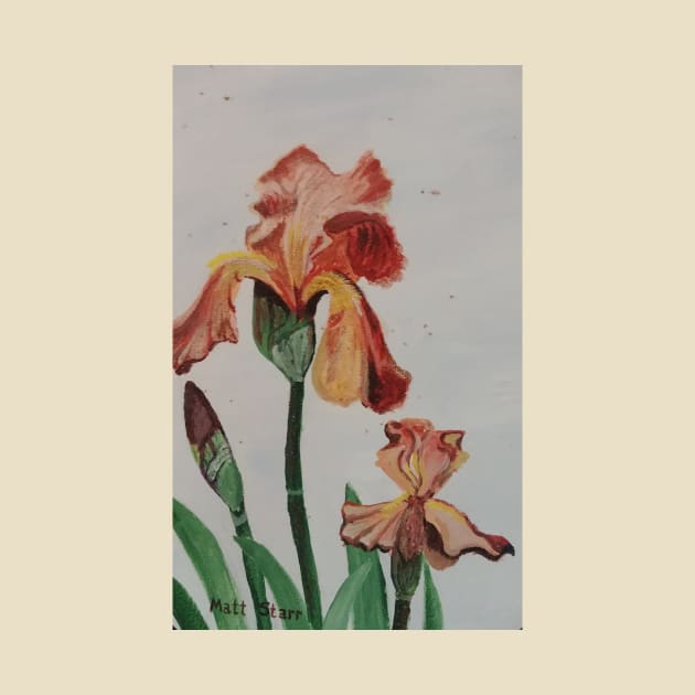 Smoky Bearded Iris Flowers by Matt Starr Fine Art