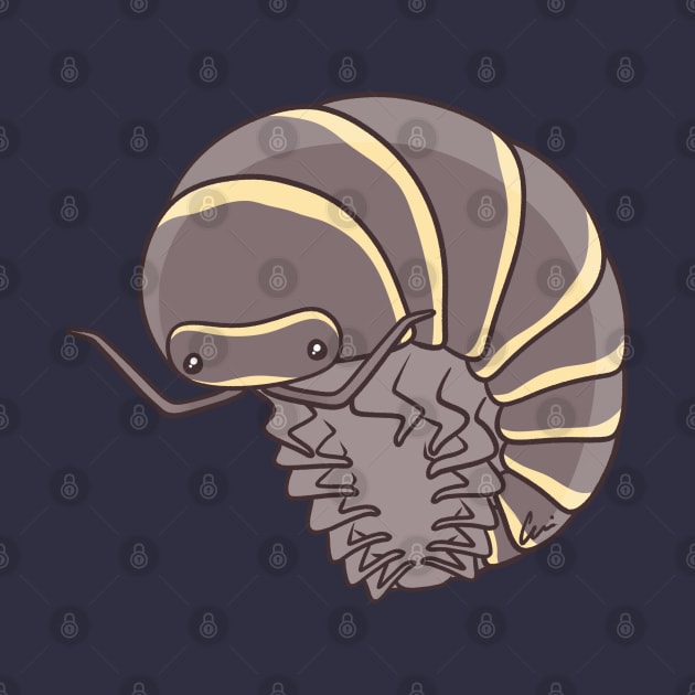 Yellow Zebra Isopod Or Zebra Pillbug - Armadillidium Maculatum by anacecilia