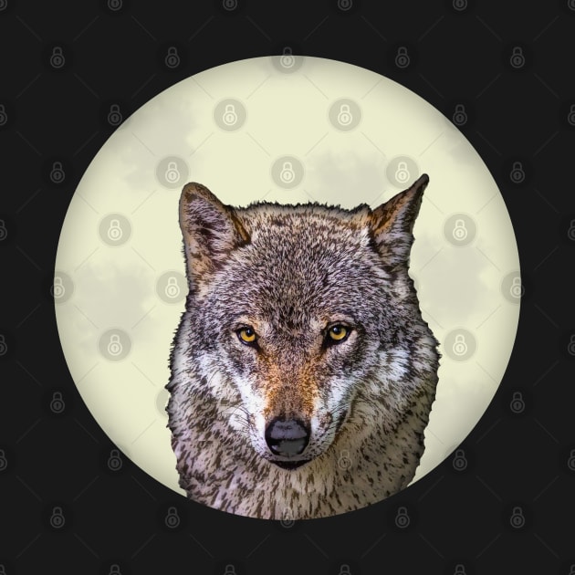 Wolf On Full Moon by Roly Poly Roundabout