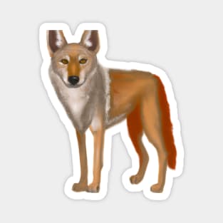 Cute Coyote Drawing Magnet