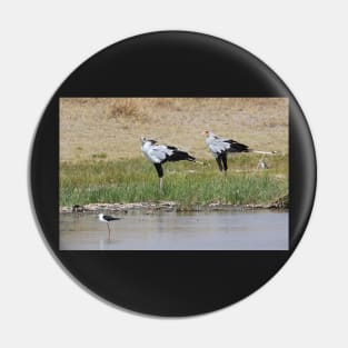 Pair of Secretary Birds,  Serengeti, Tanzania Pin