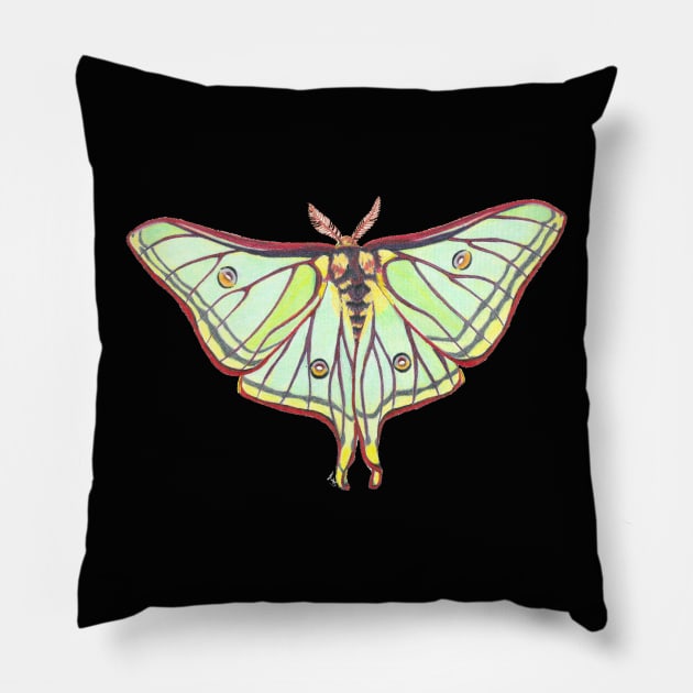 Luna Moth Pillow by Tinker and Bone Studio