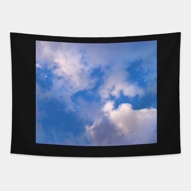 Clouds Tapestry by robophoto