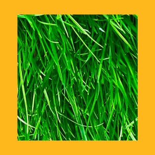 Grassy field T-Shirt