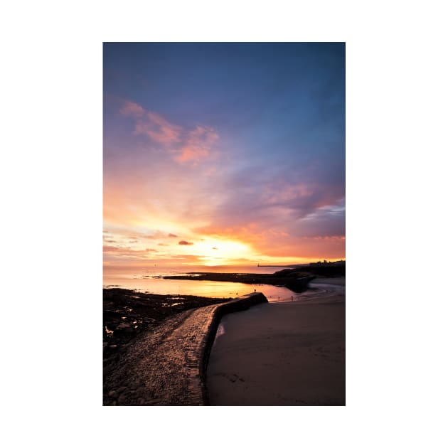 December sunrise at Cullercoats Bay by Violaman