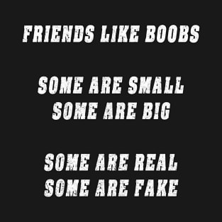 Friends Like Boobs Gift T Shirt T-Shirt