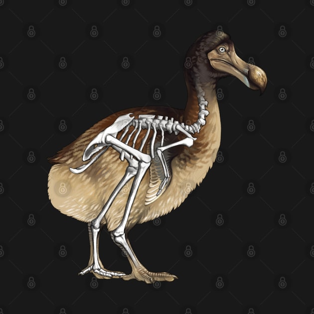 Dodo Bird Skeleton Anatomy by Pip Tacla