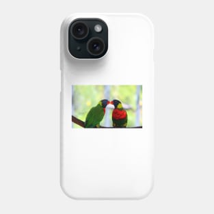 Rainbow Birds Phone Case