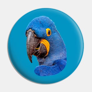 Hyacinth Macaw Pin