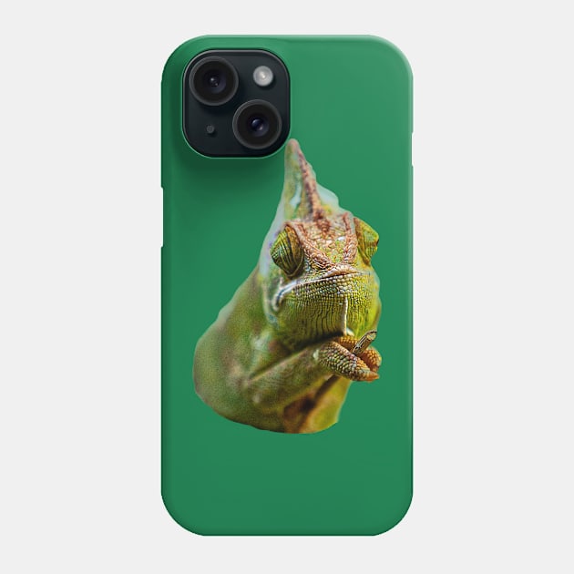 Who you looking at! Phone Case by dalyndigaital2@gmail.com