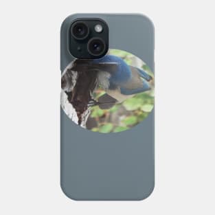 Blue Scrub Jay Hiding Acorn Phone Case