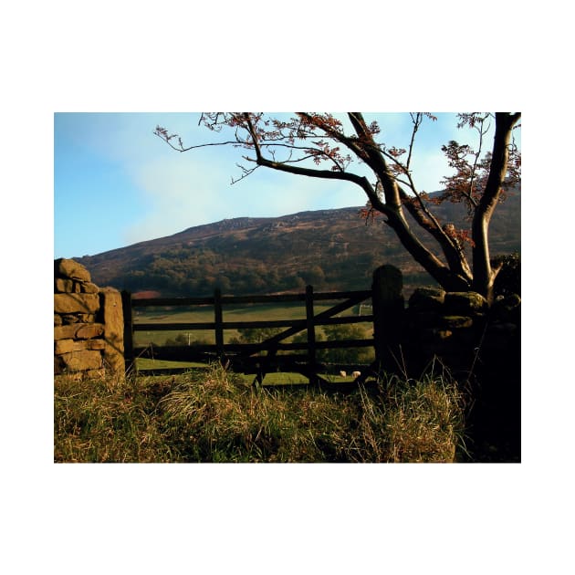 Simon's Seat, Yorkshire Dales by newbeltane