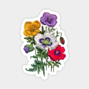 Colorful poppies Magnet