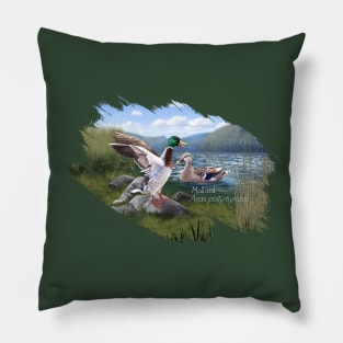 AnemalSoul - Mallard Pillow