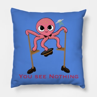 You see NOTHING here...move along Pillow