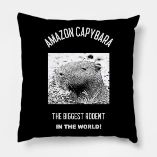 Amazon Capybara Pillow