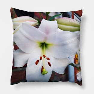 White big lily Pillow